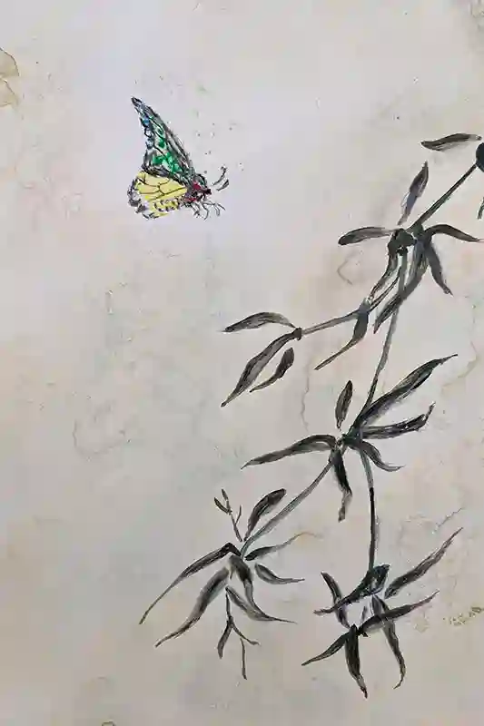 Asian Butterfly