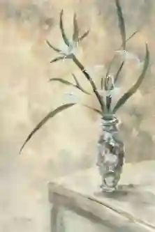 Vase On The Edge