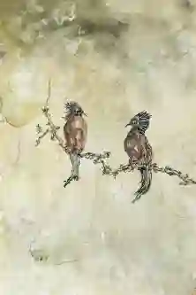 Avian Assembly