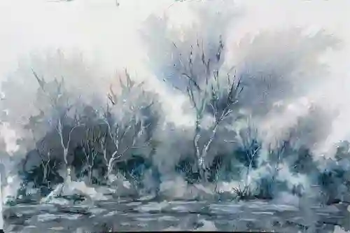 Hushed Forest