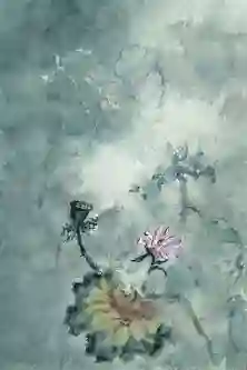 Orchid Mist