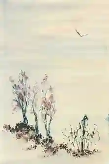 Dusk Flight