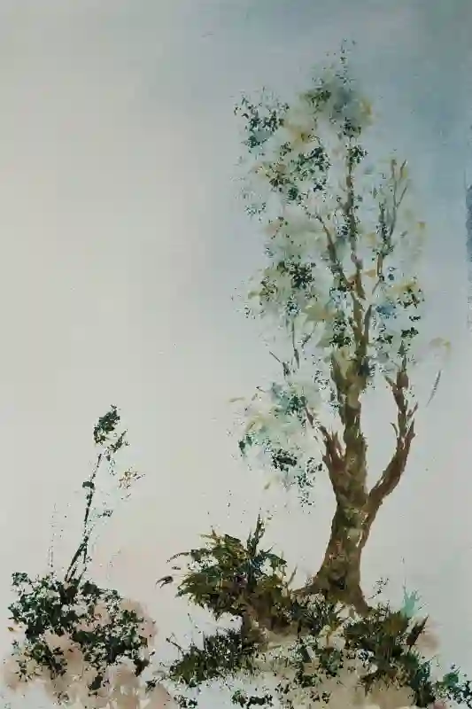 Serene Arbor