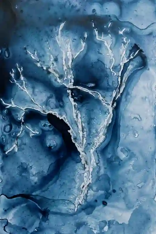 Celestial Branches