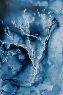 Celestial Branches