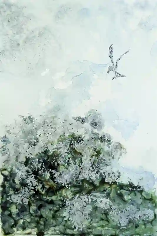 A Wing Above