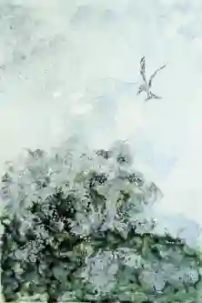 A Wing Above