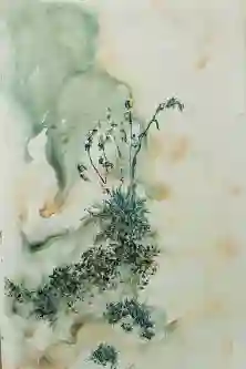 Quiet Bloom