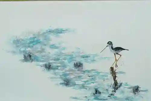 Solitary Perch