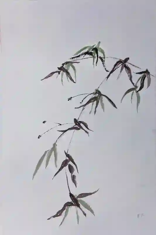 Nature_s Sway