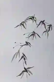 Nature_s Sway