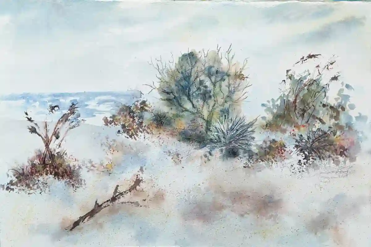 Quiet Bay