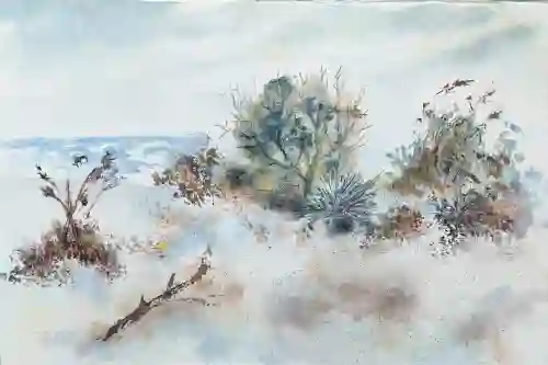 Quiet Bay