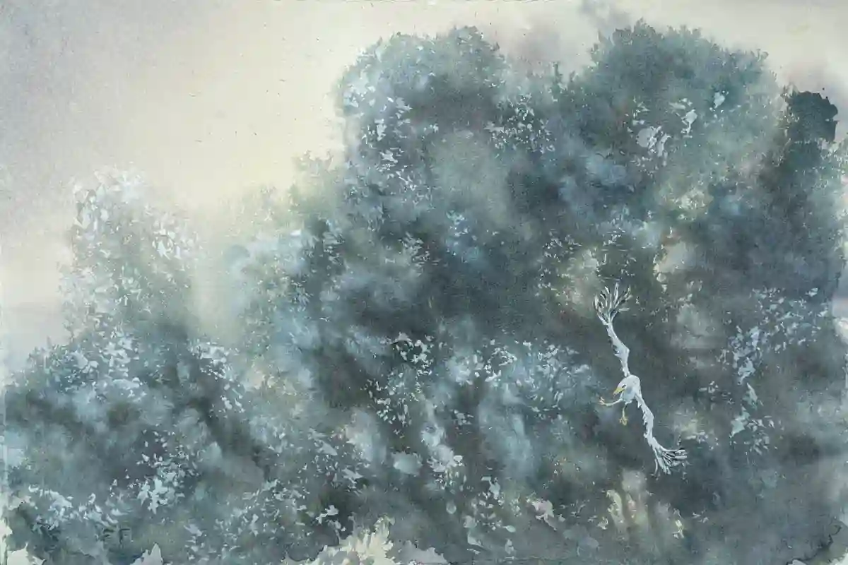 Pale Wings In The Trees