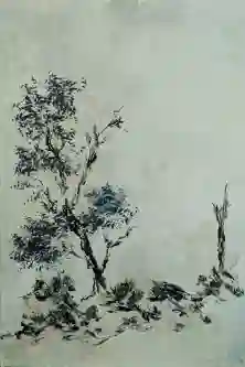 Nature's Resilience