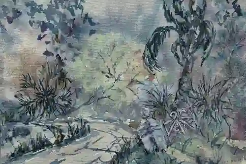 Along The Nature Path