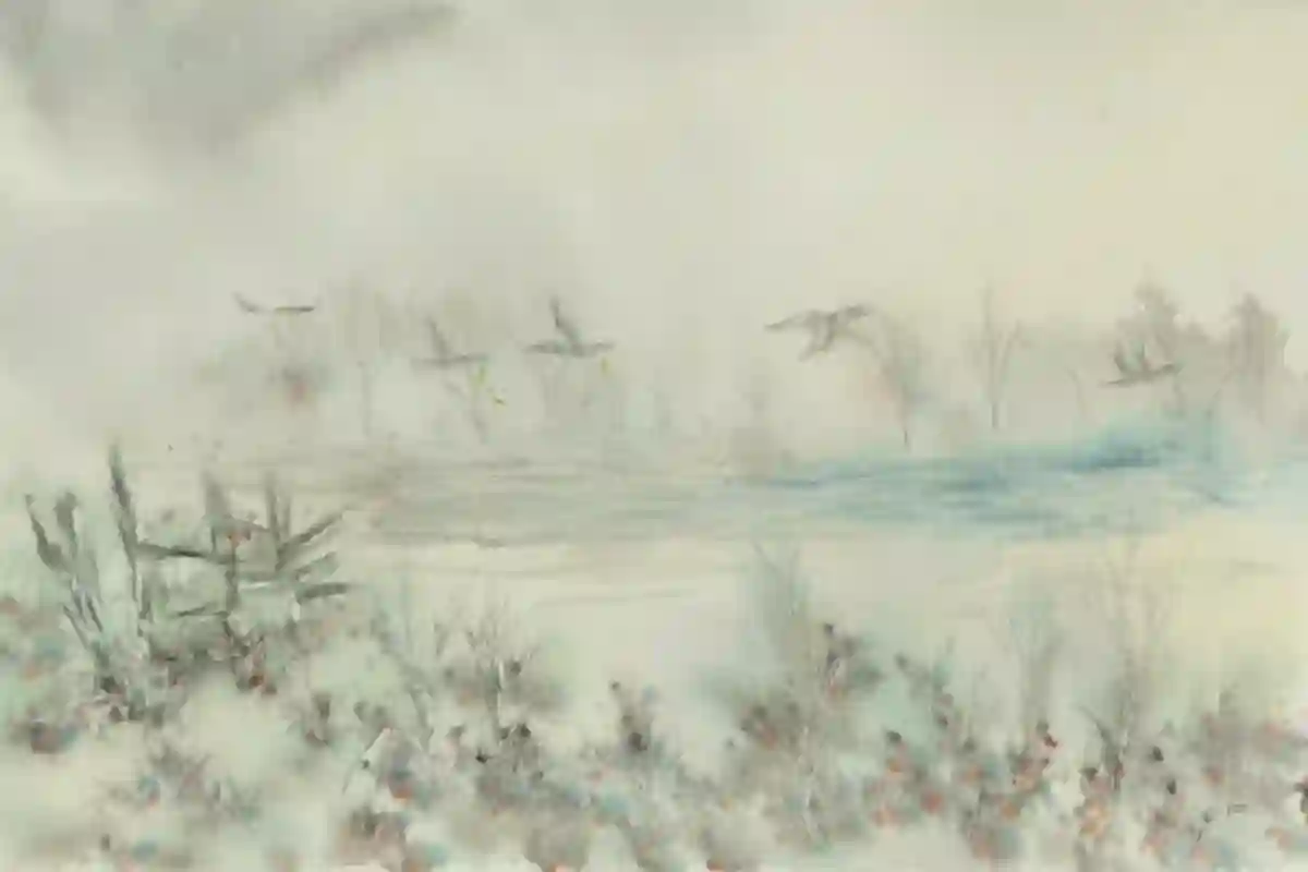 Foggy Waters