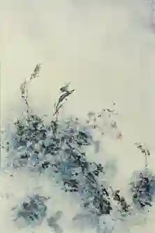 Soft Petal Drift