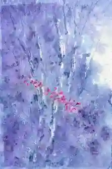 Crimson Drift