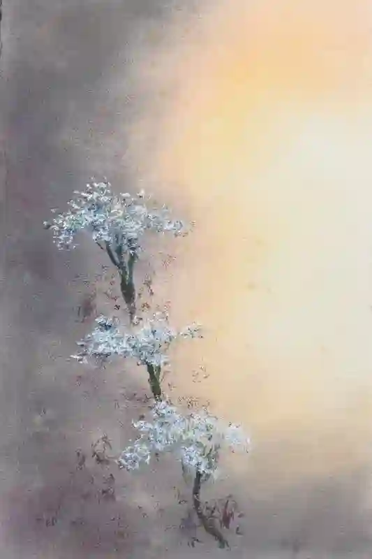 Soft Floral Glow