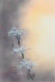 Soft Floral Glow