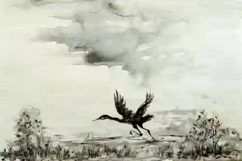 Feathered Launch
